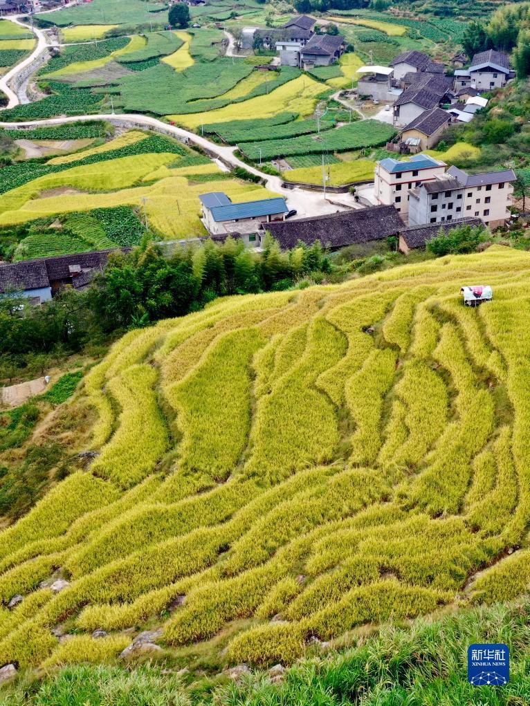 新奥门蒲京娱乐场